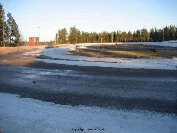 Banan 20 april 2009
Banorna kommer fram sakta men säkert.
